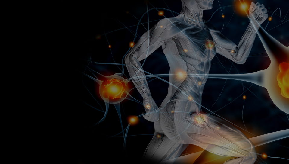 André Lindwedel Aufbau- und Bewegungstherapie