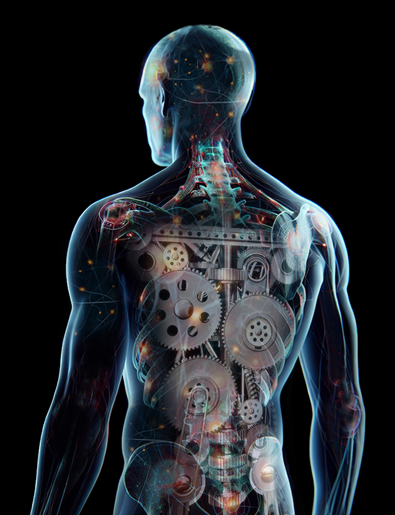 André Lindwedel Körperfunktionalität